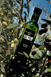 Frantoio bottle in olive tree