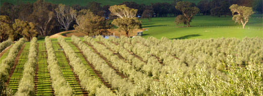 News and media releases from Chapman Hill. News and media releases from Chapman Hill.