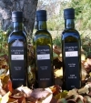 Olive Oil Varieties